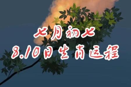 梦到蛇跑了