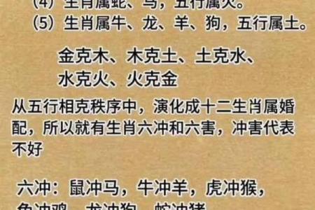 前肖是指哪几个生肖