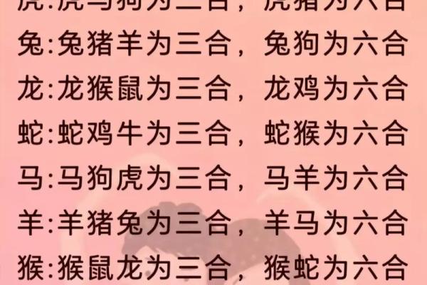 2024年12生肖49码图 2024十二生肖149表