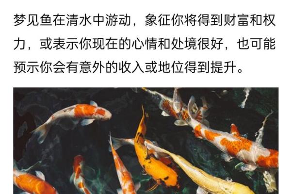 梦见房子进了很多水
