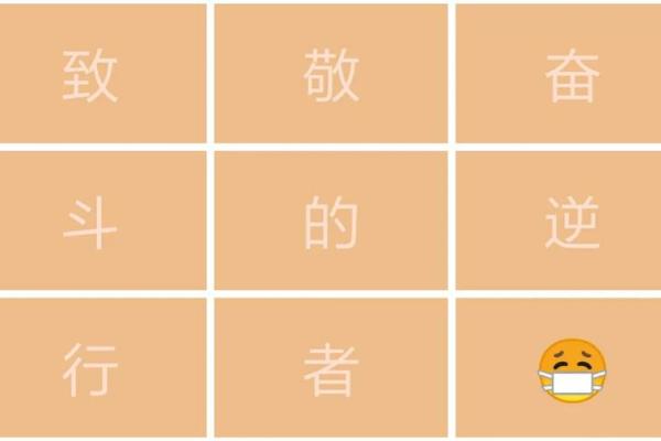 白衣天使打一生肖
