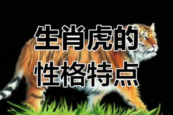 生肖属虎女的性格和脾气,属虎女人的性格弱点