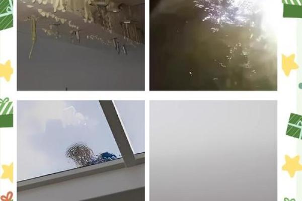 梦到房屋漏雨