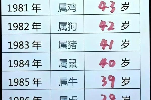 28岁属什么生肖