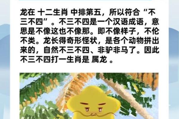 穿针走线打一正确生肖