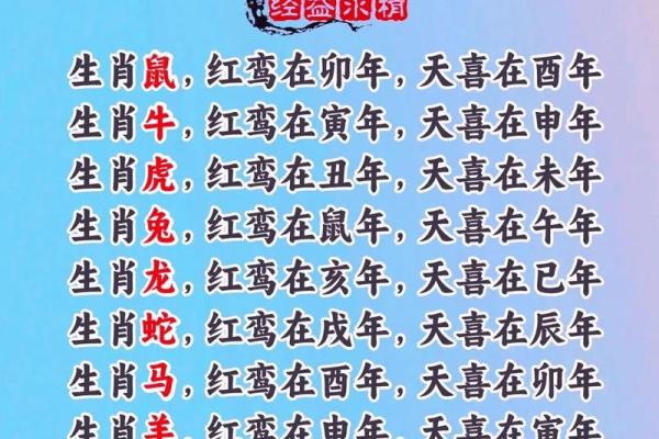 独肖是指哪几个生肖