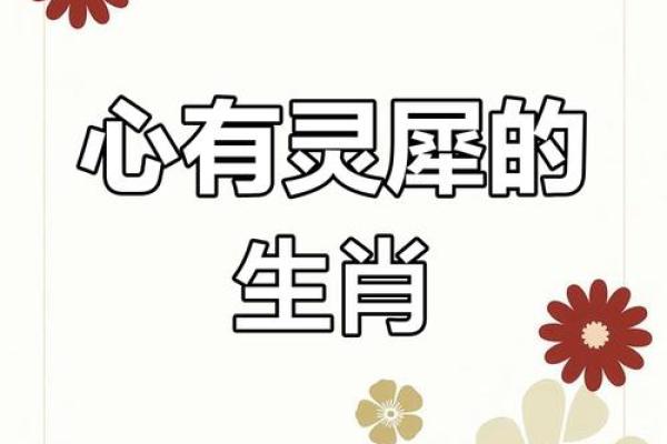 金玉良言猜一生肖