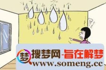 梦见自己房子漏水了是什么征兆