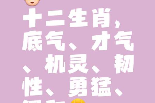 深谋远虑打一最佳生肖 深谋远虑打一正确生肖动物