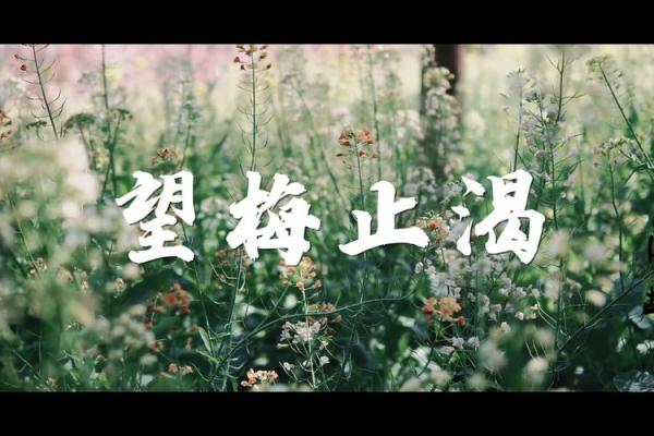 望梅止渴打一最佳生肖 望梅止渴解正确动物生肖