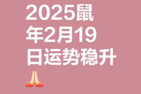 84鼠男2025年运势及运程每月(1984年属鼠男2023年运势每月运势)