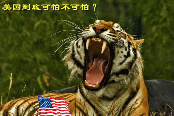 梦见被虎追是什么意思周公解梦