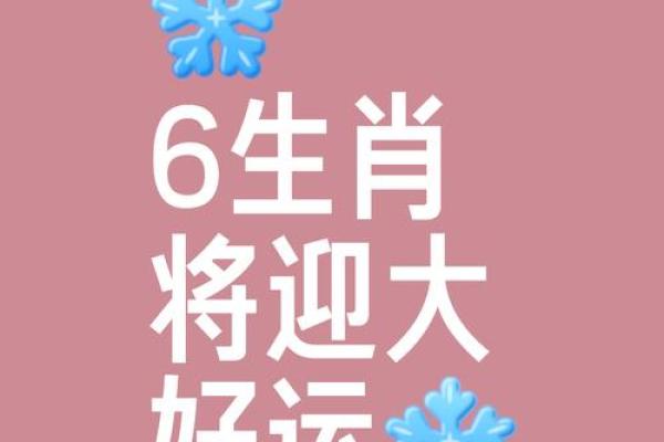 韶光似箭代表什么生肖 韶光似箭打一生肖