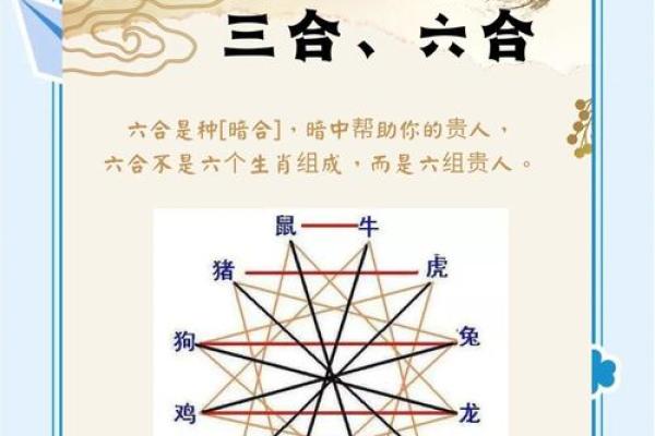 化整为零打一最佳生肖