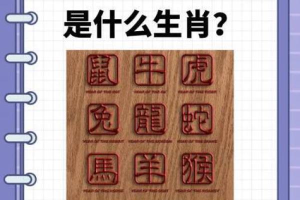 做贼心虚指什么生肖