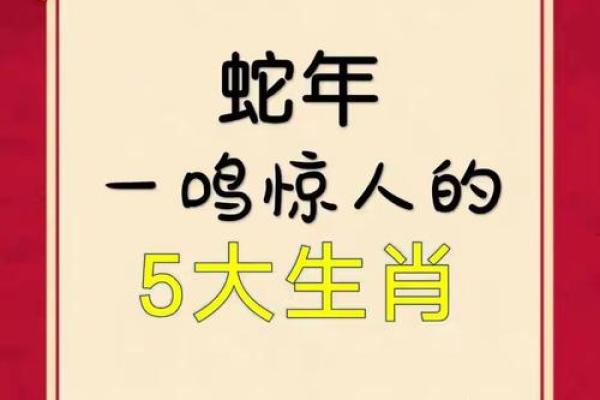 欲钱买东张西望的生肖