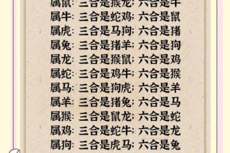 逢场作戏打一正确生肖