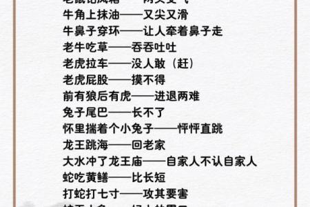立竿见影打一个生肖