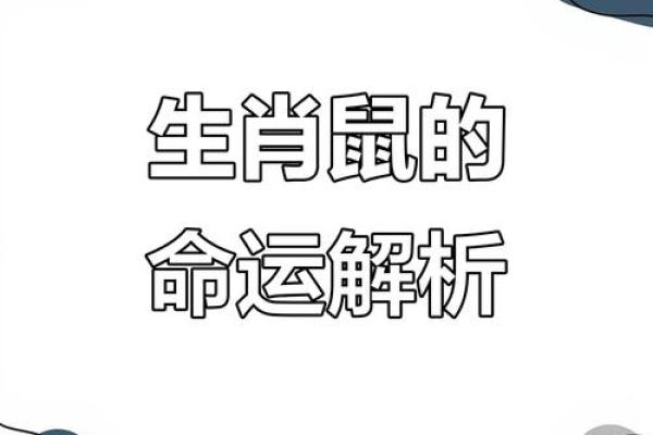 1996年属鼠男2025年的运势和婚姻(1996年属鼠未来5年运势)