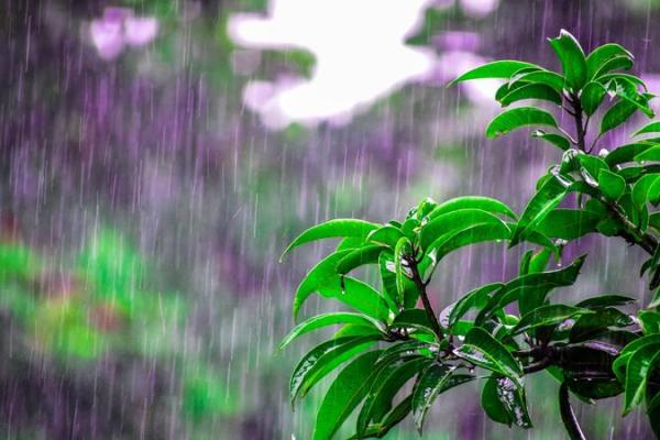 梦见涨水把房子淹了