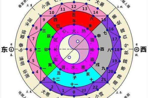 阴阳二分打一生肖