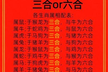 胆大无比打一准确生肖