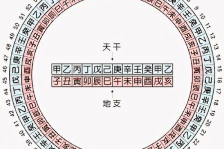 进退两难打一个生肖 进退两难是指哪个生肖