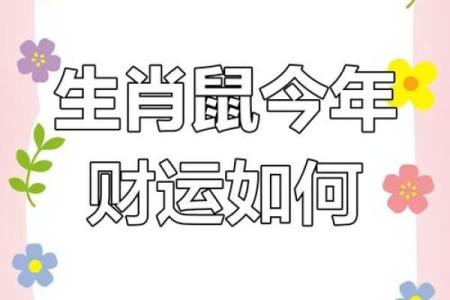 属鼠马年运势(属鼠马年运势运程)