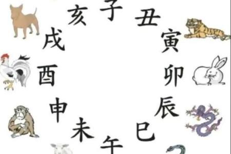 大兴土木是什么生肖