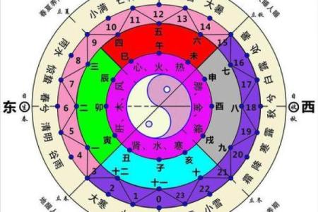 阴阳二分打一生肖