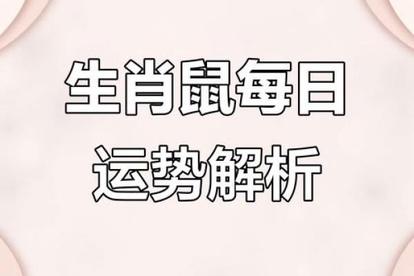 72年鼠男2025年每月运势(2008年属鼠男一生命运如何)