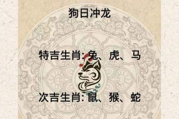 属鼠今日财运和运势(属鼠今日财运和运势造王者)