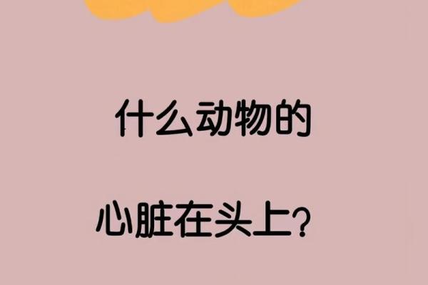 为富不仁打一动物