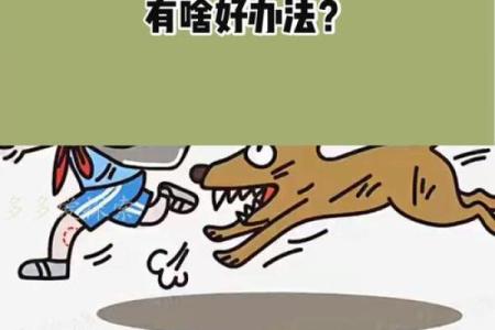 梦见小狗追我