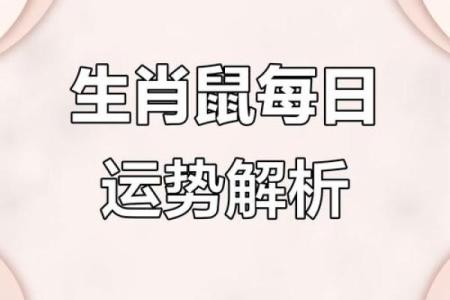 72年鼠男2025年每月运势(2008年属鼠男一生命运如何)