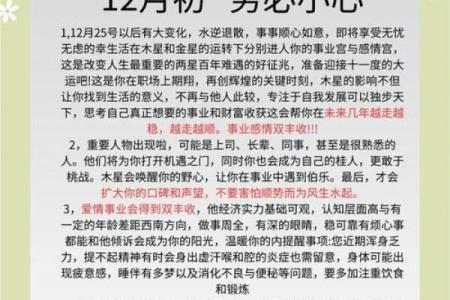 2026年属鼠人的全年运势详解(2026年属鼠人的全年运势详解麦玲玲)
