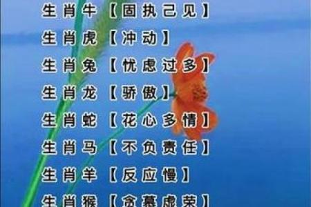 最不干净的动物是什么生肖 最不干净的动物打一生肖最佳答...