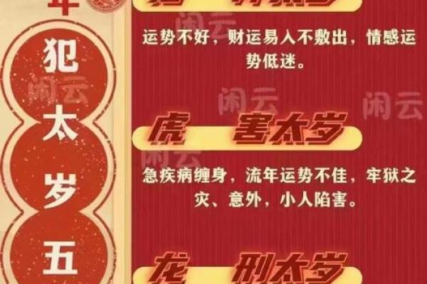 光阴似箭打一生肖 光阴似箭打一最佳生肖