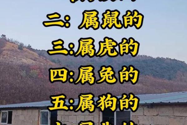愤世嫉俗是什么生肖 愤世嫉俗是什么意思