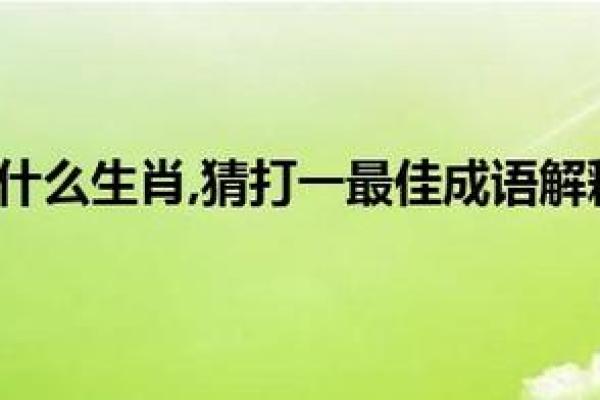 坚定不移打一正确生肖