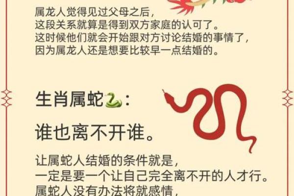 风雨无阻什么生肖 风雨无阻必到达打一生肖