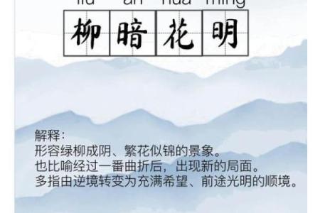 寻花问柳指什么生肖
