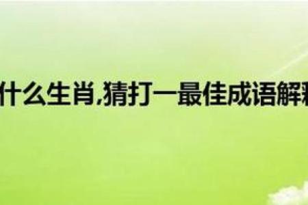 坚定不移打一正确生肖