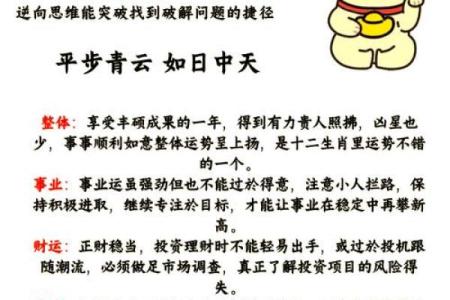 72年属鼠人的运势(72年属鼠人的运势及破解方法)