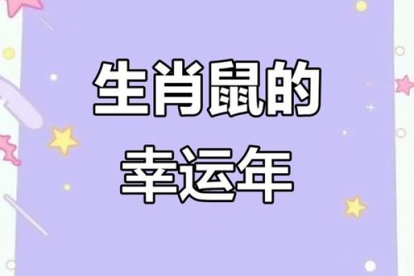 属鼠人今天财运(属鼠人今天财运)