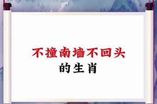 灰不喇唧代表什么生肖