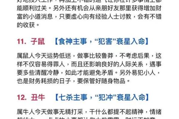 灰不喇唧代表什么生肖