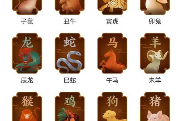 风花雪月打一准确生肖