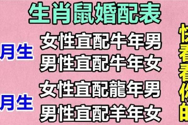 72年鼠男2025年运势完整版(72年鼠男2025年运势完整版2025年女鼠的运势)