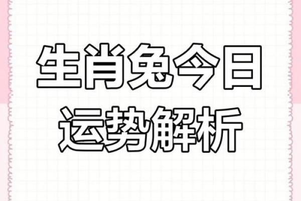 1987年属兔人在2025年运势及运程 87年38岁生肖兔2025蛇年...